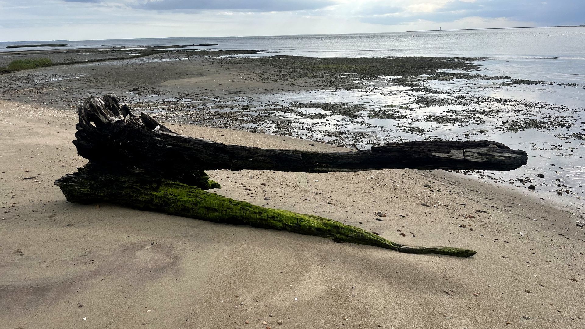 Beach view of Great Island and the Connecticut River estuary